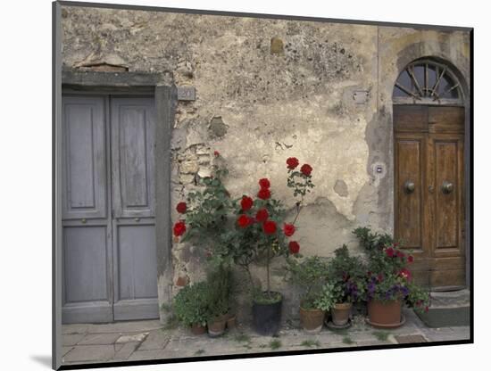Tuscan Doorway in Castellina in Chianti, Italy-Walter Bibikow-Mounted Photographic Print
