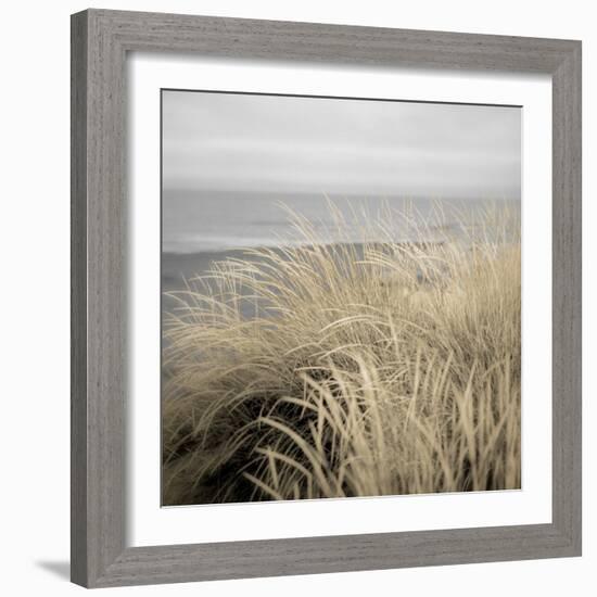 Tuscan Dunes #2A-Alan Blaustein-Framed Photographic Print