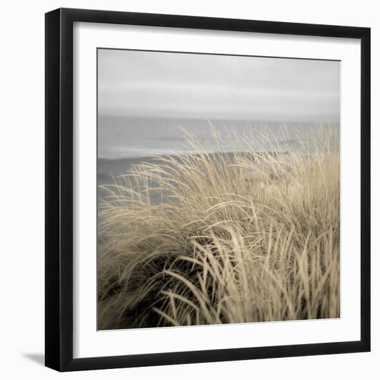 Tuscan Dunes #2A-Alan Blaustein-Framed Photographic Print