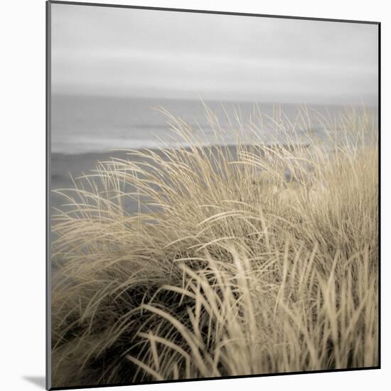 Tuscan Dunes #2A-Alan Blaustein-Mounted Photographic Print