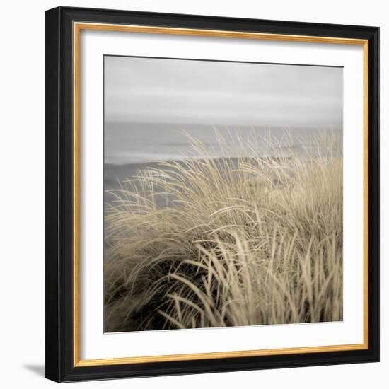 Tuscan Dunes #2A-Alan Blaustein-Framed Photographic Print