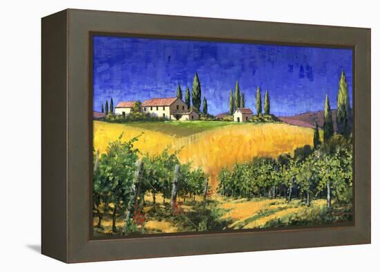 Tuscan Evening-Michael Swanson-Framed Stretched Canvas