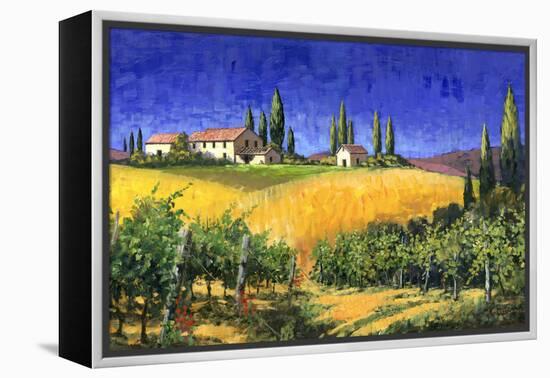Tuscan Evening-Michael Swanson-Framed Stretched Canvas