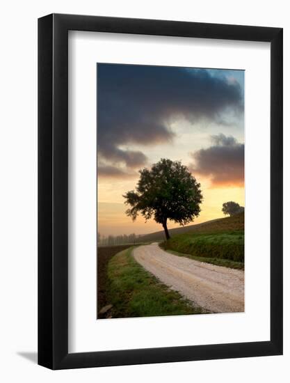 Tuscan Farm Road Sunrise #2-Alan Blaustein-Framed Photographic Print