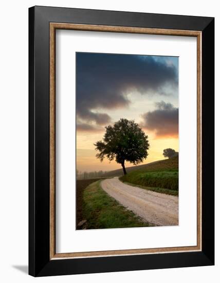 Tuscan Farm Road Sunrise #2-Alan Blaustein-Framed Photographic Print