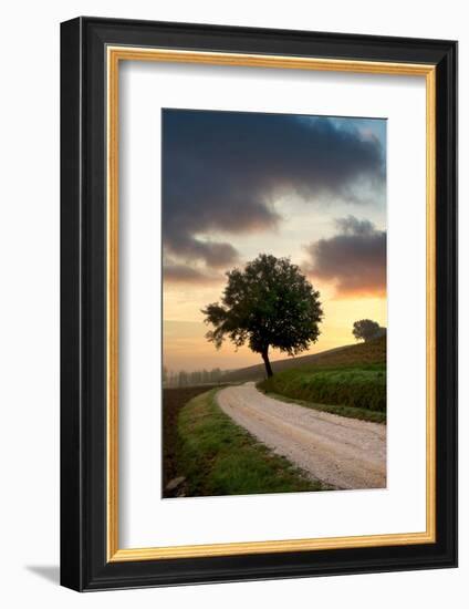 Tuscan Farm Road Sunrise #2-Alan Blaustein-Framed Photographic Print