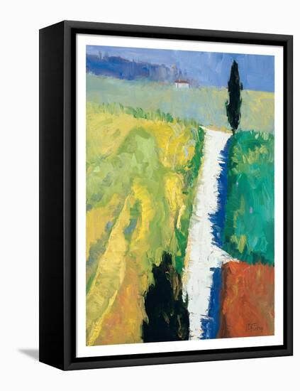 Tuscan Field II-Peter Fiore-Framed Stretched Canvas