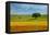 Tuscan field-Marco Carmassi-Framed Premier Image Canvas