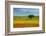 Tuscan field-Marco Carmassi-Framed Photographic Print