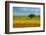 Tuscan field-Marco Carmassi-Framed Photographic Print