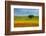 Tuscan field-Marco Carmassi-Framed Photographic Print