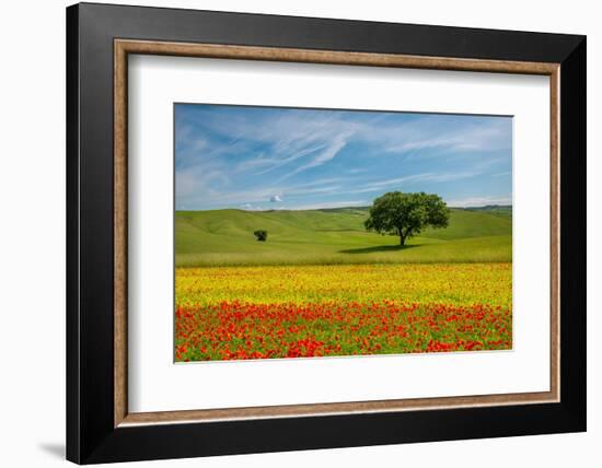 Tuscan field-Marco Carmassi-Framed Photographic Print