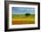 Tuscan field-Marco Carmassi-Framed Photographic Print