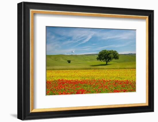 Tuscan field-Marco Carmassi-Framed Photographic Print