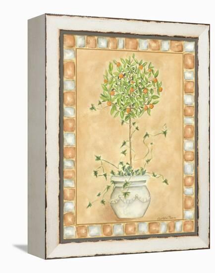 Tuscan Fruit I-Chariklia Zarris-Framed Stretched Canvas