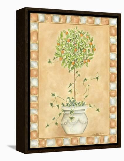 Tuscan Fruit I-Chariklia Zarris-Framed Stretched Canvas