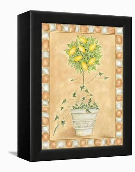 Tuscan Fruit II-Chariklia Zarris-Framed Stretched Canvas