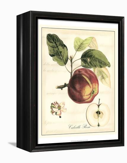 Tuscan Fruits I-Vision Studio-Framed Stretched Canvas