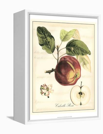 Tuscan Fruits I-Vision Studio-Framed Stretched Canvas