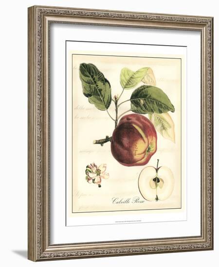 Tuscan Fruits I-Vision Studio-Framed Art Print