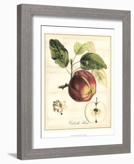 Tuscan Fruits I-Vision Studio-Framed Art Print