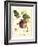 Tuscan Fruits I-Vision Studio-Framed Art Print