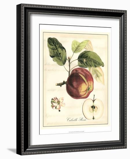 Tuscan Fruits I-Vision Studio-Framed Art Print