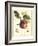 Tuscan Fruits I-Vision Studio-Framed Art Print