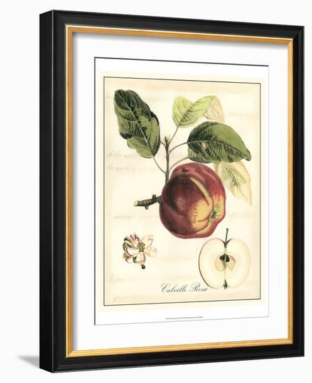 Tuscan Fruits I-Vision Studio-Framed Art Print