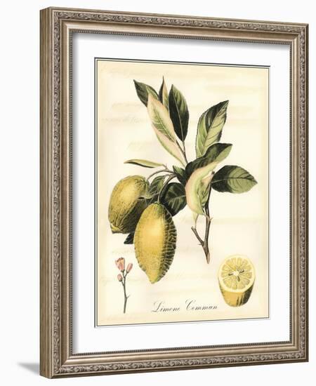 Tuscan Fruits II-Vision Studio-Framed Art Print