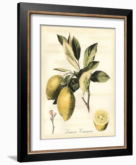 Tuscan Fruits II-Vision Studio-Framed Art Print