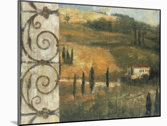 Tuscan Gateway I-Liz Jardine-Mounted Art Print