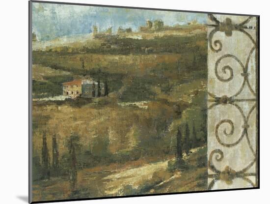 Tuscan Gateway II-Liz Jardine-Mounted Art Print