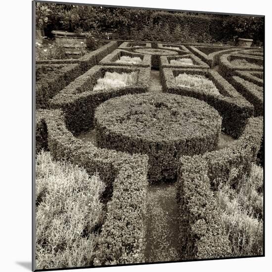 Tuscan Giardini I-Alan Blaustein-Mounted Photographic Print