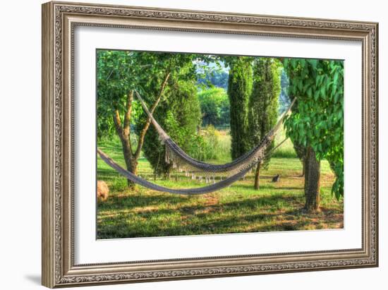 Tuscan Hammocks and Cat-Robert Goldwitz-Framed Photographic Print