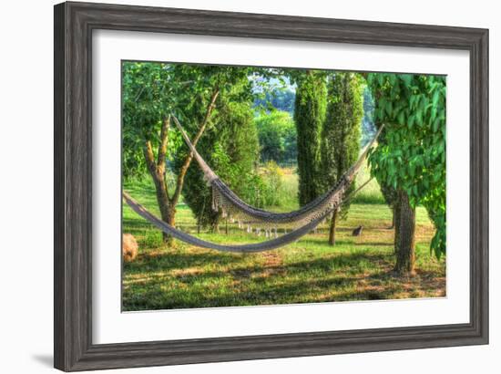 Tuscan Hammocks and Cat-Robert Goldwitz-Framed Photographic Print