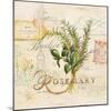 Tuscan Herbs-Angela Staehling-Mounted Art Print