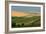 Tuscan Hill I-Robert Goldwitz-Framed Photographic Print