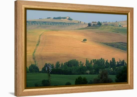 Tuscan Hill II-Robert Goldwitz-Framed Premier Image Canvas