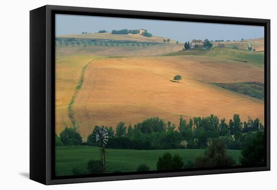 Tuscan Hill II-Robert Goldwitz-Framed Premier Image Canvas