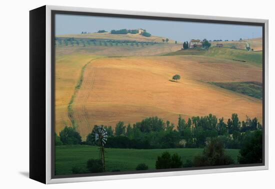 Tuscan Hill II-Robert Goldwitz-Framed Premier Image Canvas