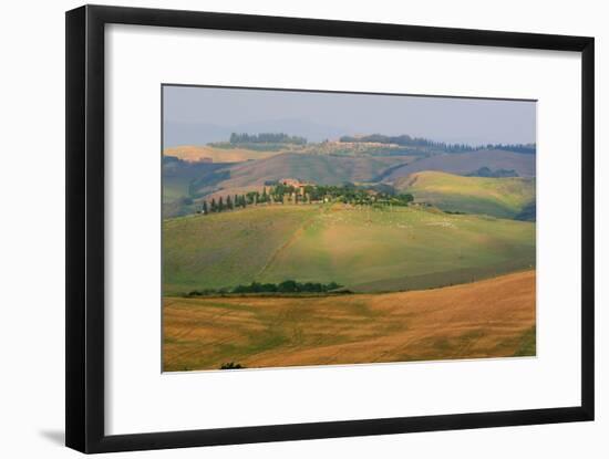 Tuscan Hill Sheep-Robert Goldwitz-Framed Photographic Print