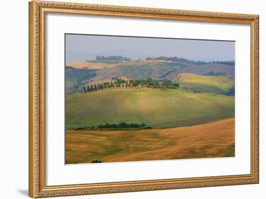 Tuscan Hill Sheep-Robert Goldwitz-Framed Photographic Print