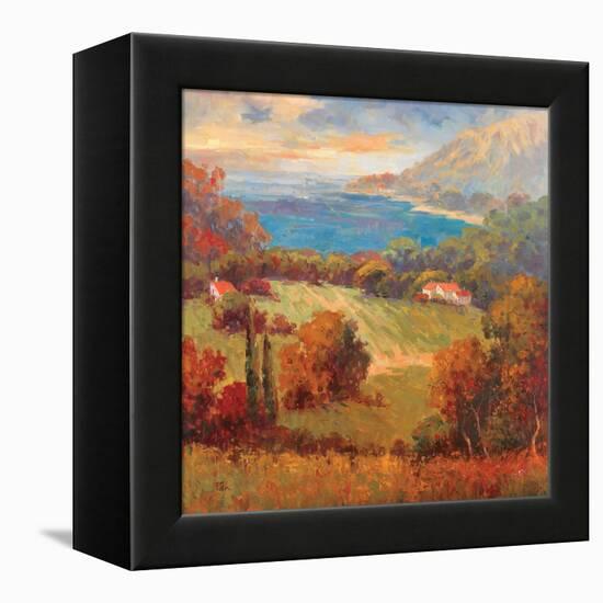 Tuscan Hill View-K. Park-Framed Stretched Canvas