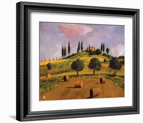 Tuscan Hillside-Judith D'Agostino-Framed Art Print