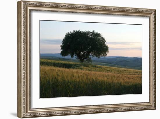 Tuscan Hillside-Robert Goldwitz-Framed Photographic Print