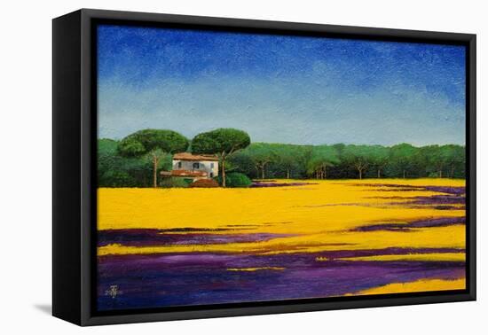 Tuscan Landcape, 2010-Trevor Neal-Framed Premier Image Canvas