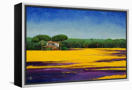 Tuscan Landcape, 2010-Trevor Neal-Framed Premier Image Canvas