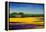 Tuscan Landcape, 2010-Trevor Neal-Framed Premier Image Canvas