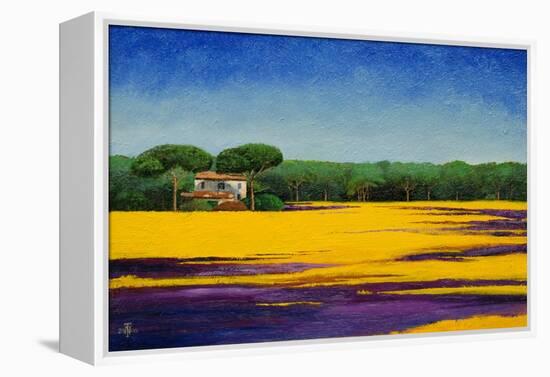 Tuscan Landcape, 2010-Trevor Neal-Framed Premier Image Canvas